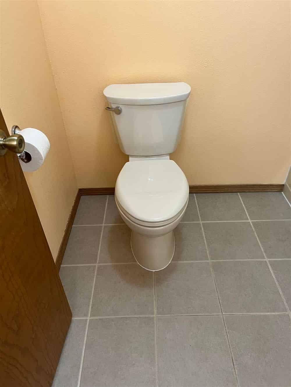 Toilet Repair image